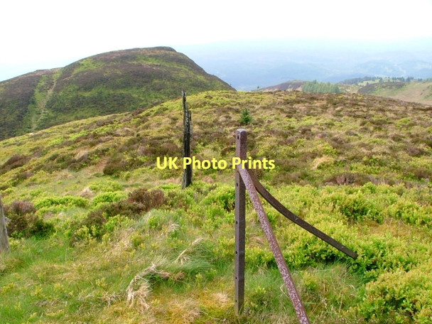 Photo 6"x4" Ruined Fence Posts, Craig of Monievreckie Shannochill c2011