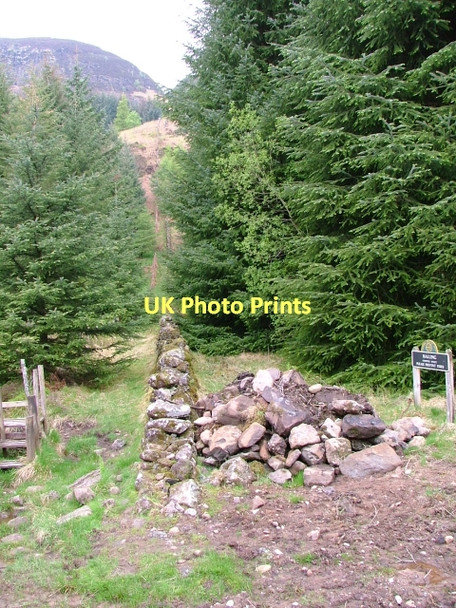 Photo 6"x4" Ruined Wall, Malling Forest Shannochill c2011