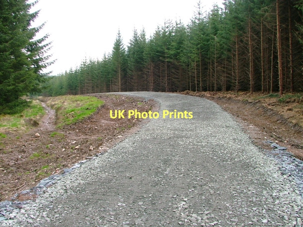 Photo 6"x4" Newly Laid Forest Road, Malling Forest Shannochill c2011