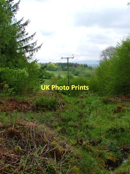 Photo 6"x4" Electricity Transmission Poles, near Blarnaboard Gartmore c2011