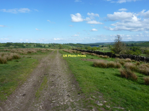 Photo 6"x4" East along the bridleway above Hail Beck Blubberhouses c2011