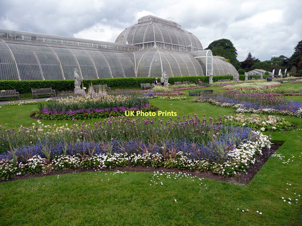 Photo 6"x4" Palm House, Kew Gardens Brentford c2011
