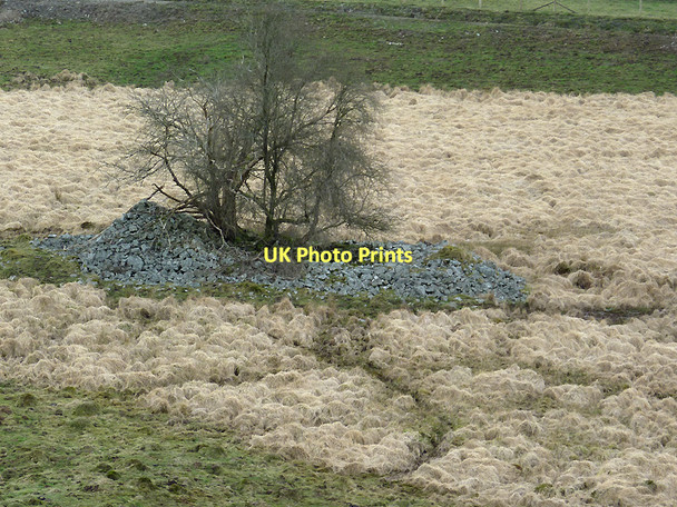 Photo 6"x4" Ruins near Cwm Nant-llwyd, Ceredigion Cnwch Rhiwhalog c2011