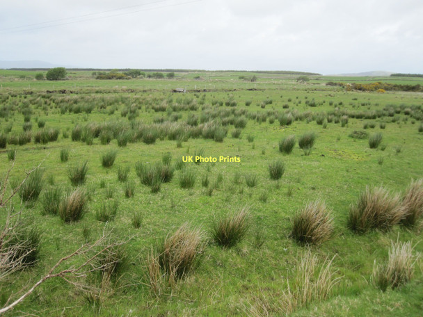 Photo 6"x4" Pasture land near Derrygarve More Carrownisky c2011