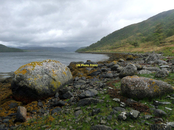 Photo 6"x4" Loch Sunart, south side Ardery c2011