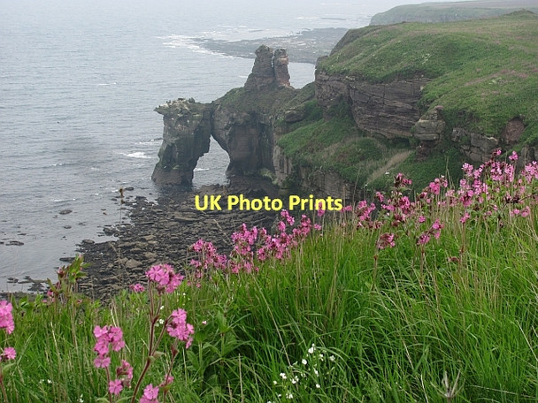 Photo 6"x4" Needles Eye Highfields\/NT9954 c2011