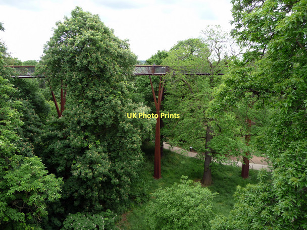 Photo 6"x4" Xstrata Tree Walk, Kew Gardens Brentford c2011