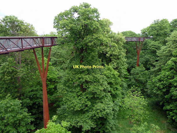 Photo 6"x4" Xstrata Tree Walk, Kew Gardens Brentford c2011