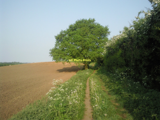 Photo 6"x4" Footpath towards Upper Ruxley Swanley\/TQ5168 c2011