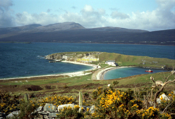 Photo 6"x4" Sheep grazing beside Loch Eriboll Loch a' Gharbh-bhaid c1992