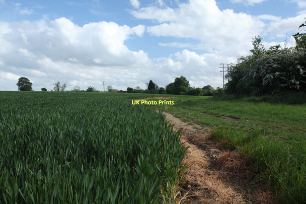 Photo 6"x4" View south along field boundary Hilperton c2011