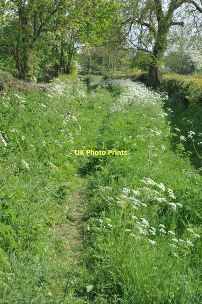 Photo 6"x4" Footpath to Baughton Baughton c2011