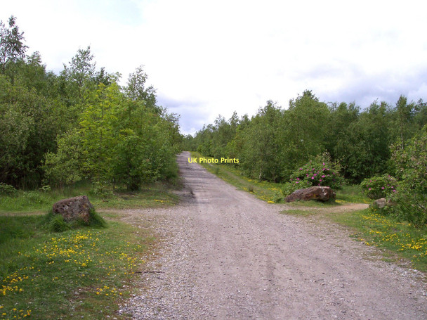 Photo 6"x4" Colliers Moss Common Haydock c2011