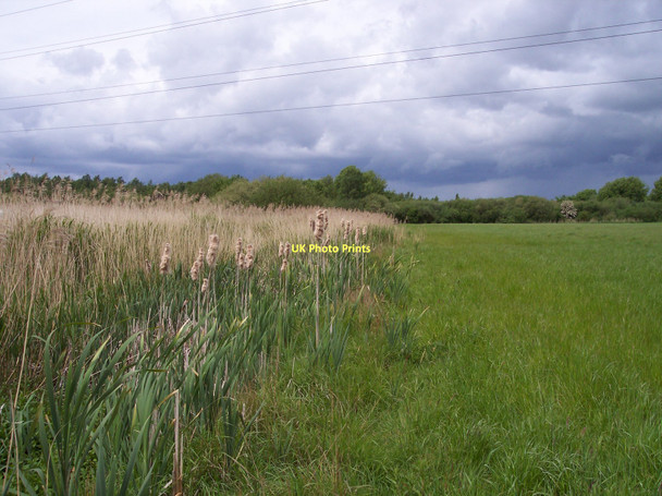 Photo 6"x4" Bold Moss boundary Derbyshire Hill c2011