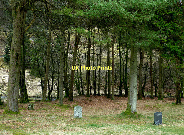 Photo 6"x4" Woodland and graveyard at Soar-y-Mynydd, Ceredigion Soar y Mynydd c2011