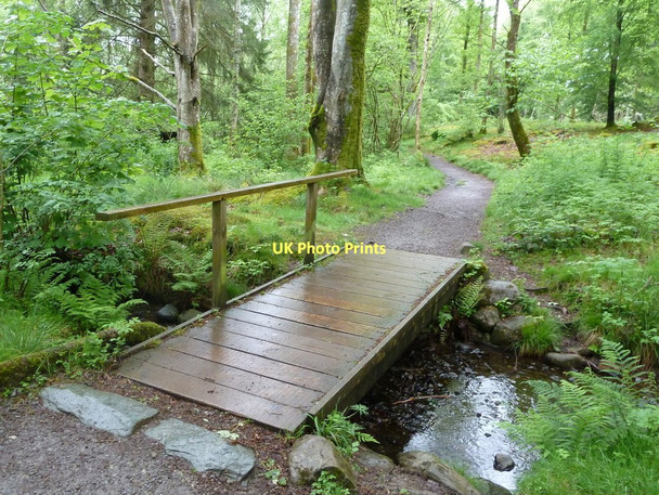 Photo 6"x4" Footbridge in Great Wood Keswick\/NY2623 c2011