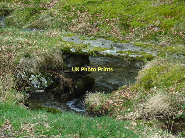 Photo 6"x4" Old footbridge across Nant y Brithdir, Ceredigion Soar y Mynydd c2011 P1