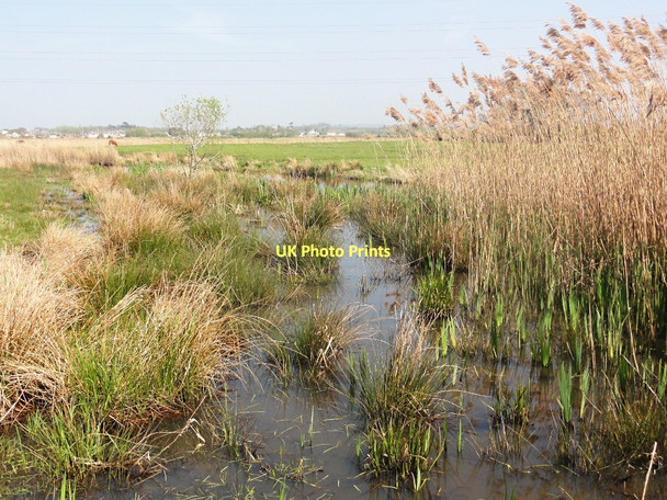 Photo 6"x4" Flooded Ground on Exminster Marshes Exminster c2011