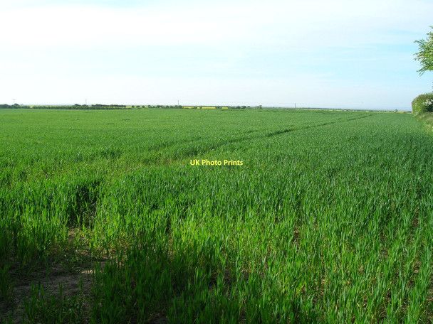 Photo 6"x4" Farrmland near Welwick Weeton\/TA3520 c2011