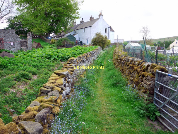 Photo 6"x4" Footpath north of Westgate Westgate\/NY9038 c2011