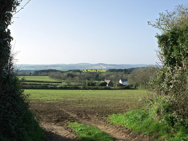 Photo 6"x4" Fields at St. Hilary, Cornwall St Hilary c2011