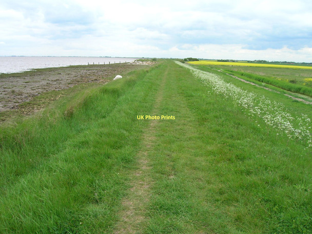 Photo 6"x4" Track along Humber Estuary Easington\/TA3919 c2011