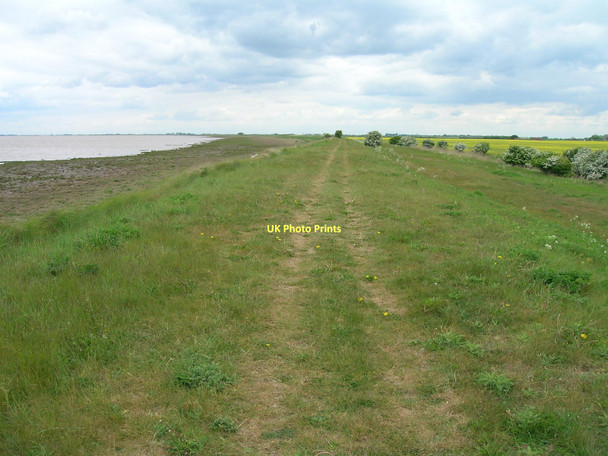 Photo 6"x4" Track along Humber flood defences Skeffling c2011