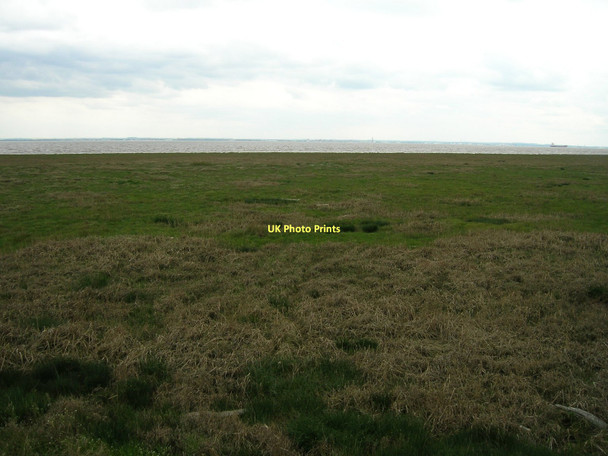 Photo 6"x4" Humber Estuary Weeton\/TA3520 c2011