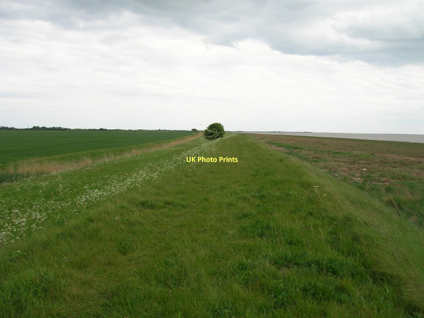 Photo 6"x4" Weeton Bank heading east Weeton\/TA3520 c2011