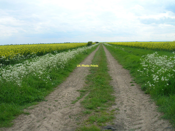 Photo 6"x4" Farm track off Newlands Road Patrington Haven c2011