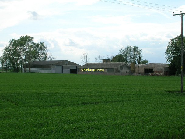 Photo 6"x4" Middle Farm Sunk Island c2011