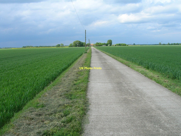 Photo 6"x4" Track to Winestead Farm Sunk Island c2011