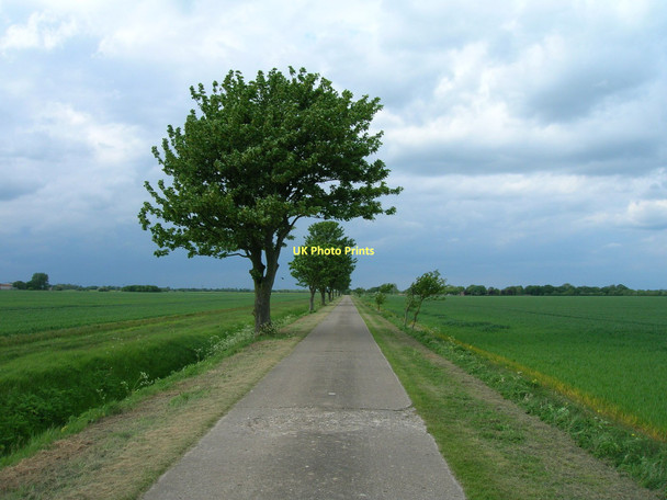 Photo 6"x4" Track to Patrington Farm Patrington Haven c2011