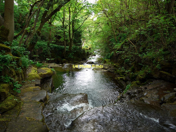 Photo 6"x4" Middlehope Burn above High Mill Westgate\/NY9038 c2011