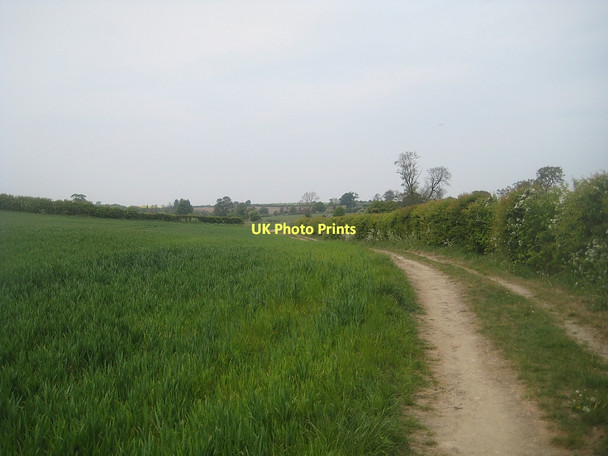 Photo 6"x4" Public footpath (1) Hessle\/SE4317 c2011