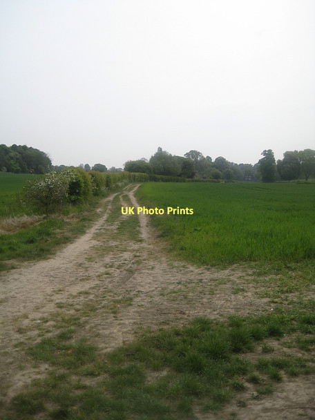 Photo 6"x4" Public footpath (3) Hessle\/SE4317 c2011
