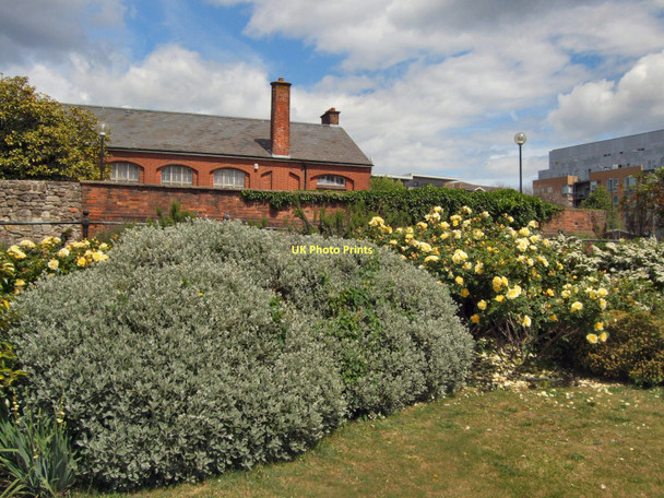 Photo 6"x4" Garden near French Street, Southampton Southampton c2011
