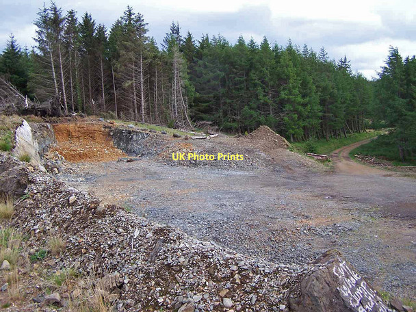 Photo 6"x4" Forest quarry Corry\/NG6424 c2011