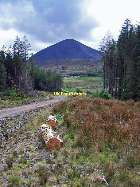 Photo 6"x4" Forestry road Corry\/NG6424 c2011