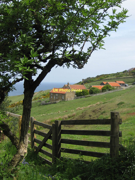 Photo 6"x4" Peakside, Ravenscar Ravenscar c2011