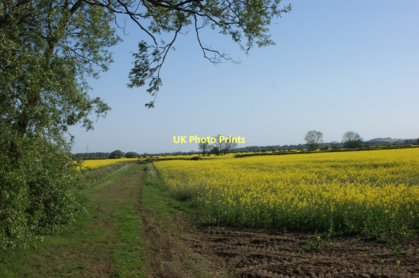 Photo 6"x4" Farmland beside the Great North Road at Foston Foston\/SK8542 c2011