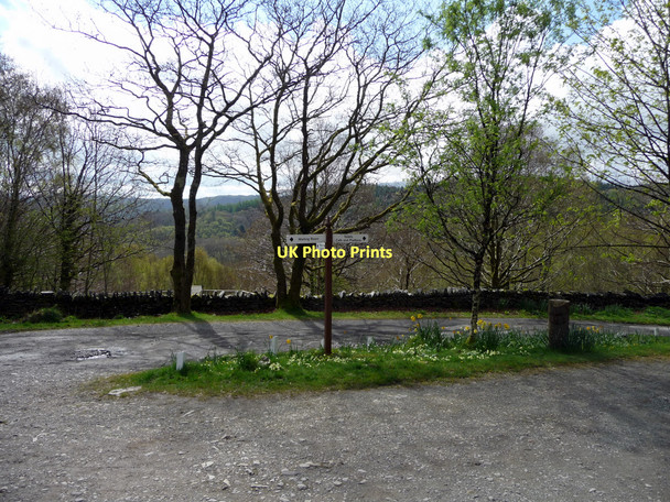 Photo 6"x4" Plas Halt Station, Ffestiniog Railway Tan-y-bwlch\/SH6540 c2011