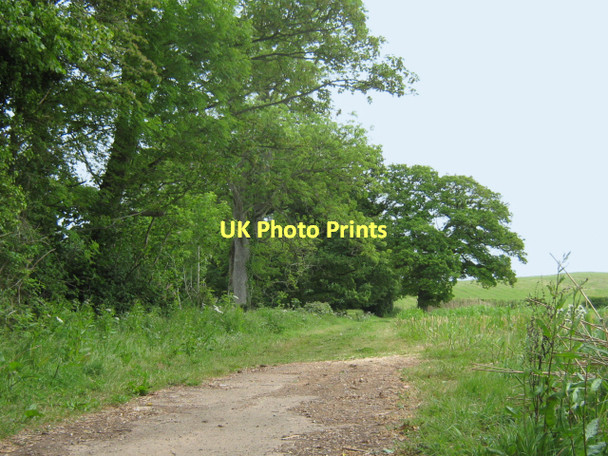 Photo 6"x4" Footpath, Tainfield Park, near Nailsbourne Kingston St Mary c2011