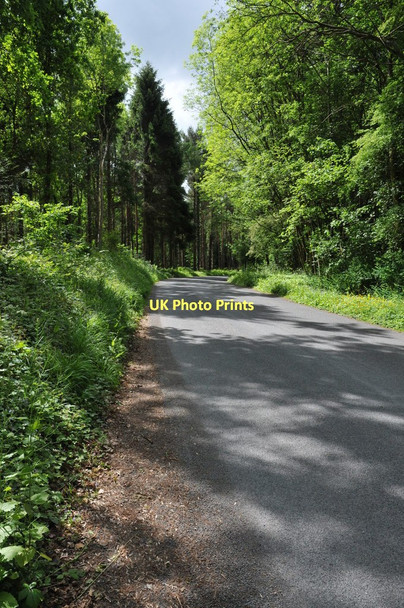 Photo 6"x4" Road to Pen-y-clawdd Dingestow c2011
