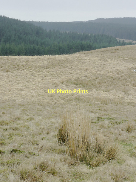 Photo 6"x4" Moorland and forest from Esgair Wynt, Ceredigion Ochr Fawr c2011