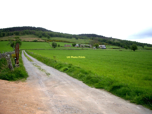 Photo 6"x4" Track to Upper Tillylair Coull\/NJ5102 c2011