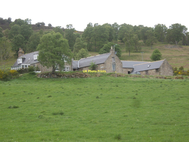 Photo 6"x4" Tillybreen farm Coull\/NJ5102 c2011