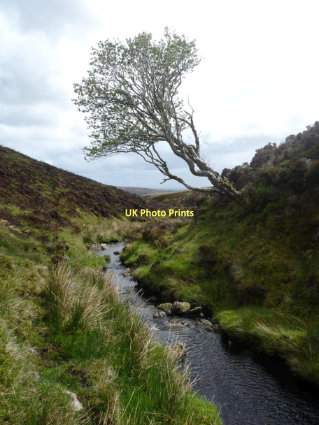 Photo 6"x4" The Dun Burn Dun Burn c2011