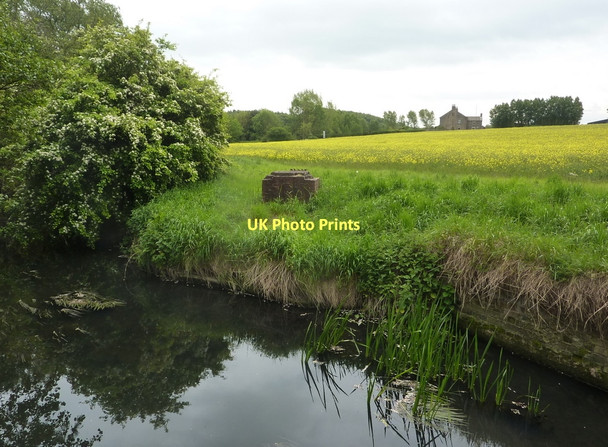 Photo 6"x4" River Doe Lea by Snipe Bog reserve Bolsover c2011