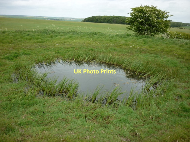 Photo 6"x4" A small pond near Top Barn Kirby Grindalythe c2011
